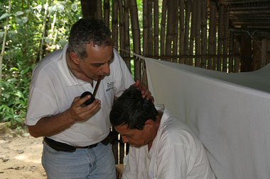 Mapacho soplada during an Amazonian dieta, Cordillera Escalera, Peru
