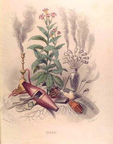 Tabac illustrated plate by J. J. Grandville
